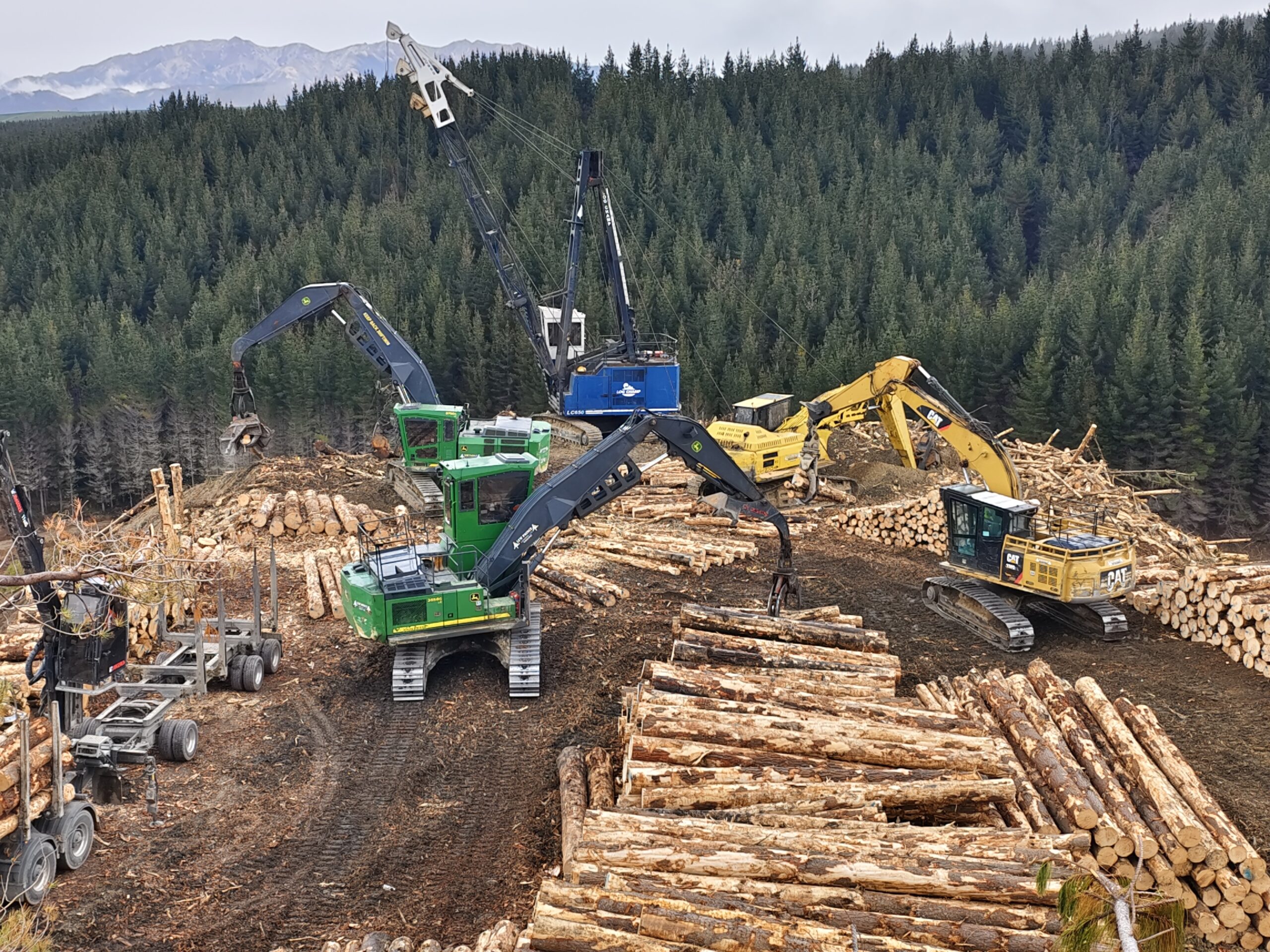 Forest Operation
